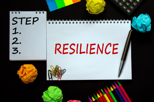 resilienza 2